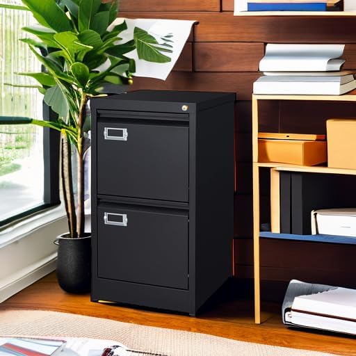 2 Drawer File Cabinet with Lock Metal Vertical Filing Storage Cabinet Office Home Steel Vertical File Cabinets for A4 Legal/Letter Size Narrow File Cabinet Locked,Assembly Required