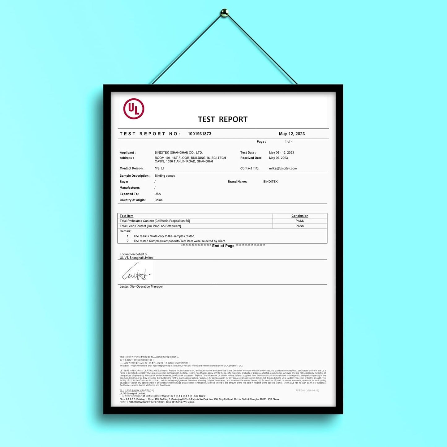 Binditek 30 Pack Plastic Binding Comb Spines, 3/4 Inch Diameter, 150 Sheet Capacity, 19 Ring, for Letter Size, Black, for Students and Coworkers