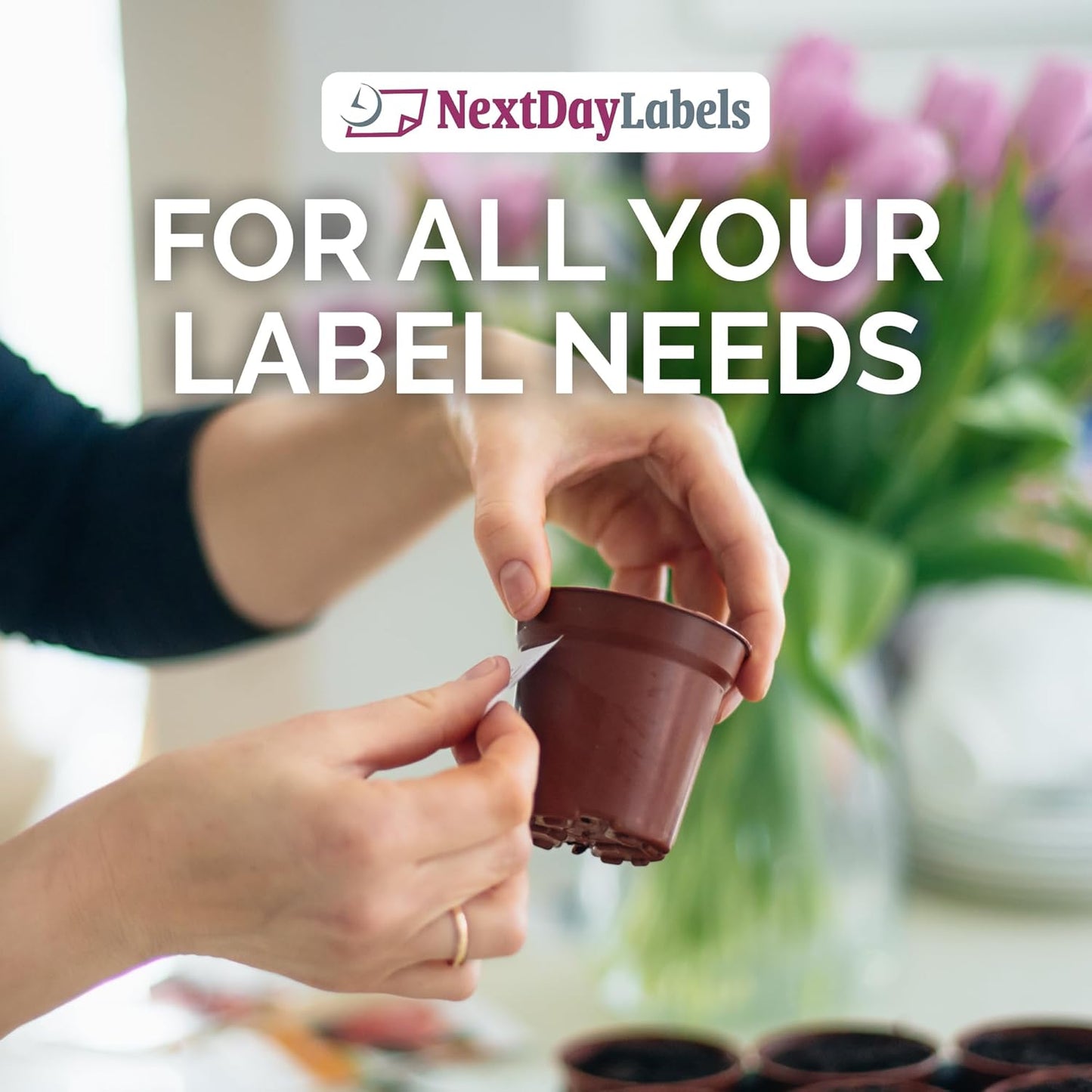 NextDayLabels 4' x 1" White Laser/Inkjet Printer Labels - 2000 Labels (100 Sheets, 20 Per Sheet) - Address, Shipping, Return Labels