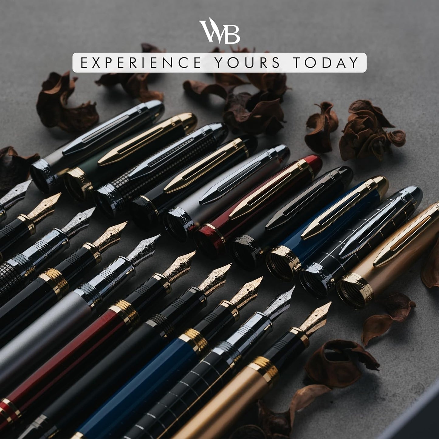 Wordsworth & Black Majesti Fountain Pen-(Green), Luxury Case, 24K Gold Finish; 18K Gilded Medium Nib- Ink Cartridges, Refillable Ink Converter-Calligraphy Pen-Best Business Gift Set for Men & Women