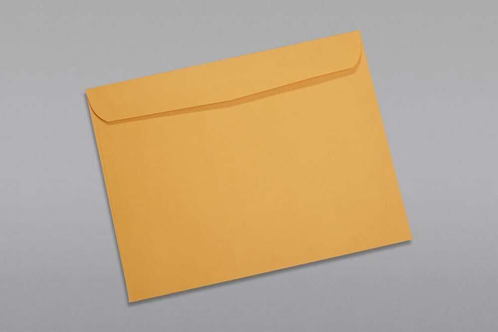 Limited Papers (TM) Booklet Envelopes, (Open Side) Brown Kraft, Gummed Seal, 28 Pound, Heavyweight, For Mailing And More. (250, 9 x 12)