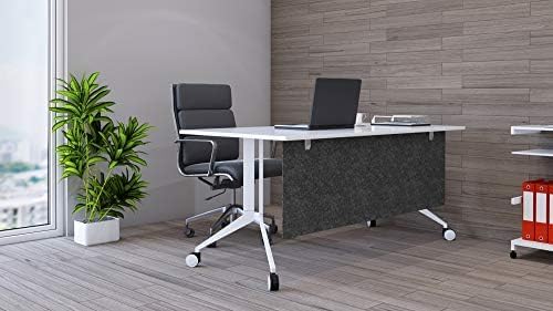 OBEX Modesty Desk PET Privacy Screen Acoustic Sound Absorbing Panel Ideal for Reception, Student Table or Office Cubicles Workstations, 24" x 66", Shadow