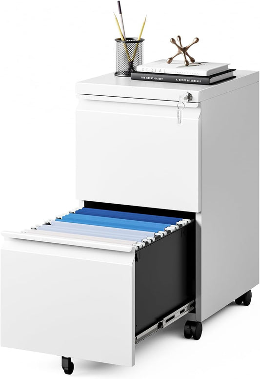 MIIIKO 2 Drawer File Cabinet on Wheels, Home Office Mobile File Drawers Under Desk, Filing Cabinets with Drawers for Legal/Letter/A4 File Folders(White),Un-Assembled
