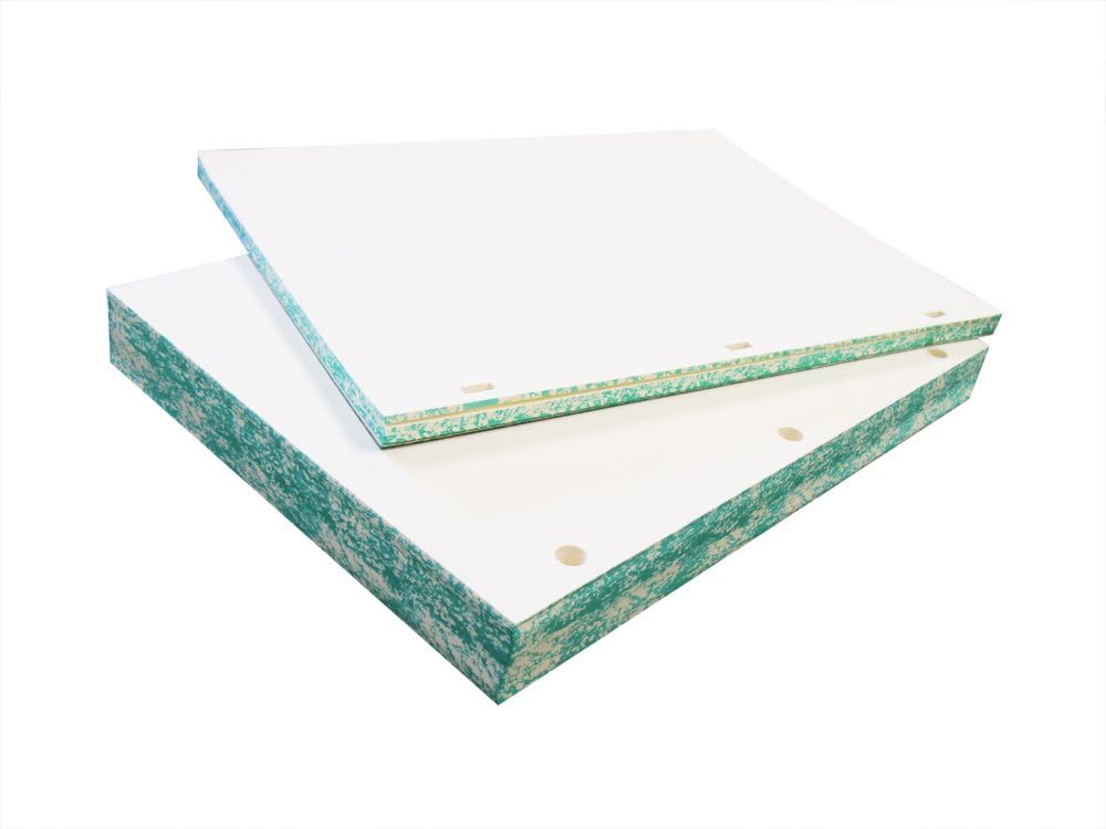Archival Paper 32lb Watermarked Minute Paper - 11" X 8-1/2" - 100% Cotton, Acid-Free, Blank Sheets for Minute Books or Ledgers- (100 Rectangle Holes)