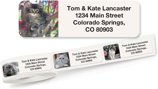 Cute Kittens Rolled Personalized Return Address Mailing Labels with Dispenser, Set of 500, 5 Designs, Small ¾ x 2½ Inch Size, Custom Self-Adhesive Sticker Roll, by Colorful Images