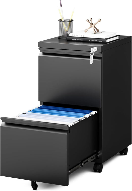 MIIIKO 2 Drawer File Cabinet on Wheels, Home Office Mobile File Drawers Under Desk, Filing Cabinets with Drawers for Legal/Letter/A4 File Folders(Black),Un-Assembled