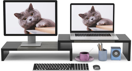 WESTREE Dual Monitor Stand Riser - 2 Shelf Computer Stand with Adjustable Length and Angle, Desktop Organizer for 2 Monitors