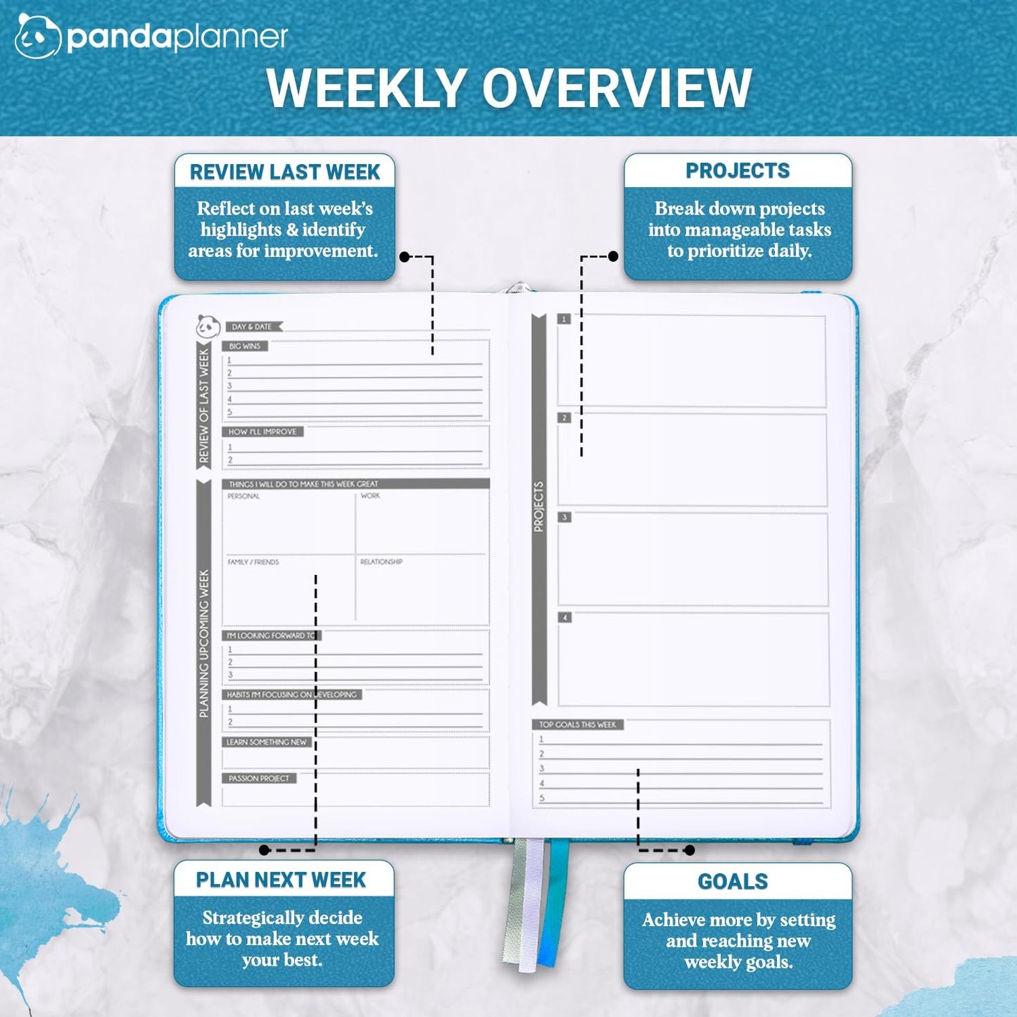 Panda Planner 2025-2026 – Classic Academic Daily, Weekly & Monthly Undated Planner, Agenda & Calendar Notebook – Productivity & Goals – Cyan Blue