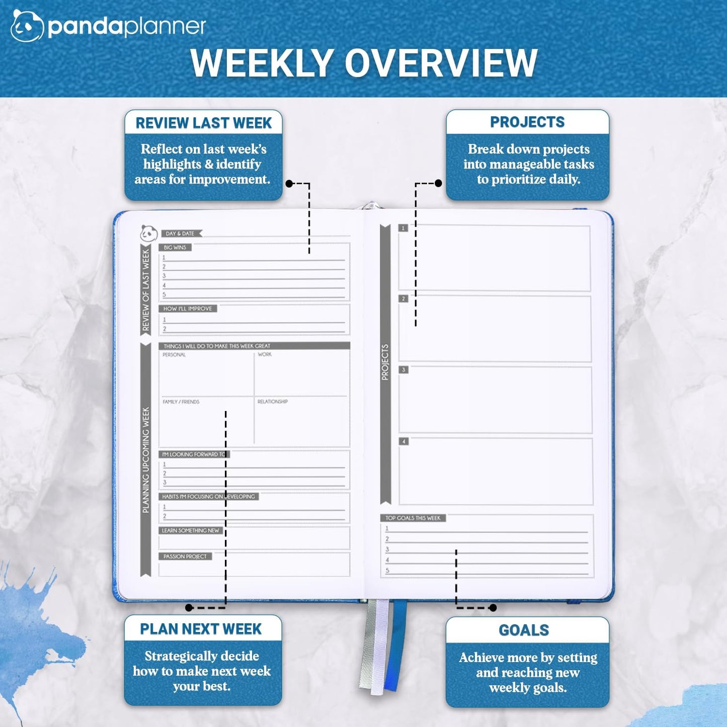 Panda Planner 2025-2026 – Undated Classic Daily Planner & Hourly Schedule Planner Notebook – Productivity Planner for Focus & Goals – Blue