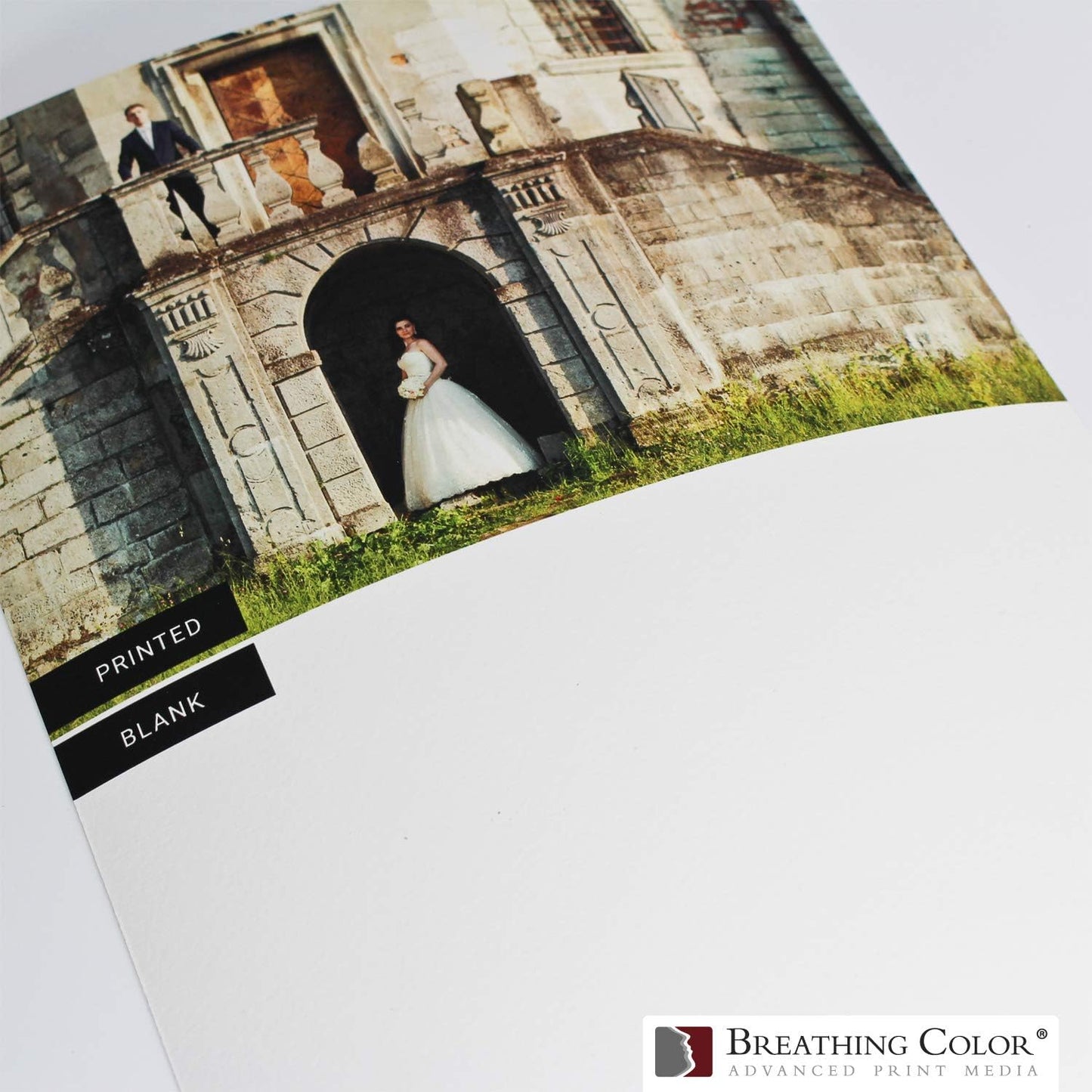 Elegance Velvet 36 in x 40 ft roll is a Premium Matte 310 gsm, Cold Pressed Bright White Museum Grade Fine Art Inkjet Paper, Compatible with Most Dye-Based and Pigment Printers
