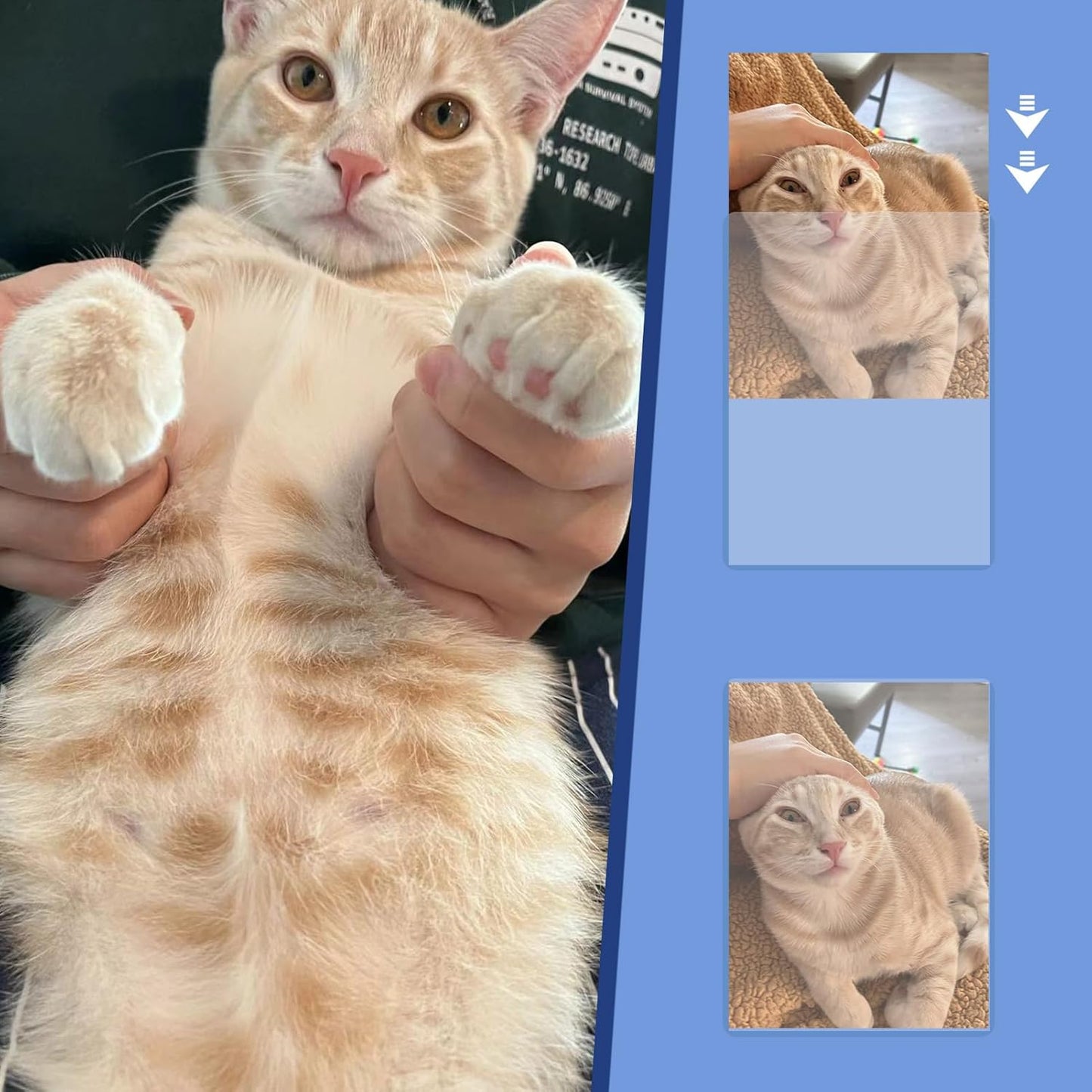 Rainmae 30 Pack 4" x 6" Rigid Print Protectors, Clear Waterproof Hard Page Sheet Protectors, B6 Paper Sleeves Photo Plastic Sleeves Hard Plastic Document Holder Birth Certificate Protector