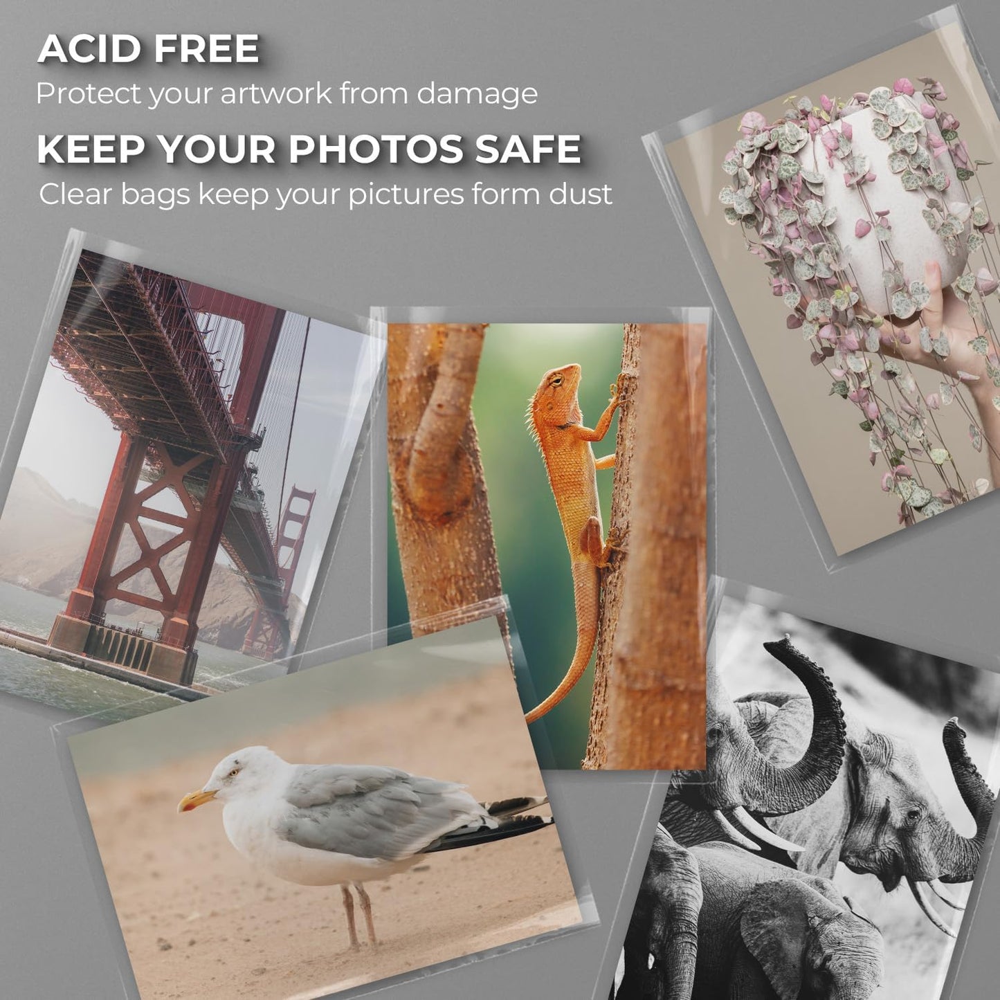 Frametory, 25 Pack 13 7/16" x 19 1/4" Acid-Free Clear Plastic Bags, Self Seal Crystal Bags for 13X19 Art Prints,Pictures,Photos,Framing Mat Mattes