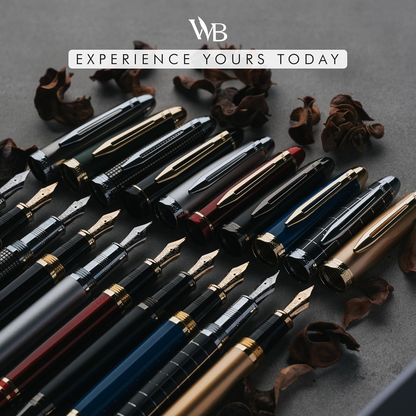 Wordsworth & Black Majesti Fountain Pen-(Red), Luxury Case, 24K Gold Finish; 18K Gilded Fine Nib- Ink Cartridges, Refillable Ink Converter-Calligraphy Pen-Best Business Gift Set for Men & Women