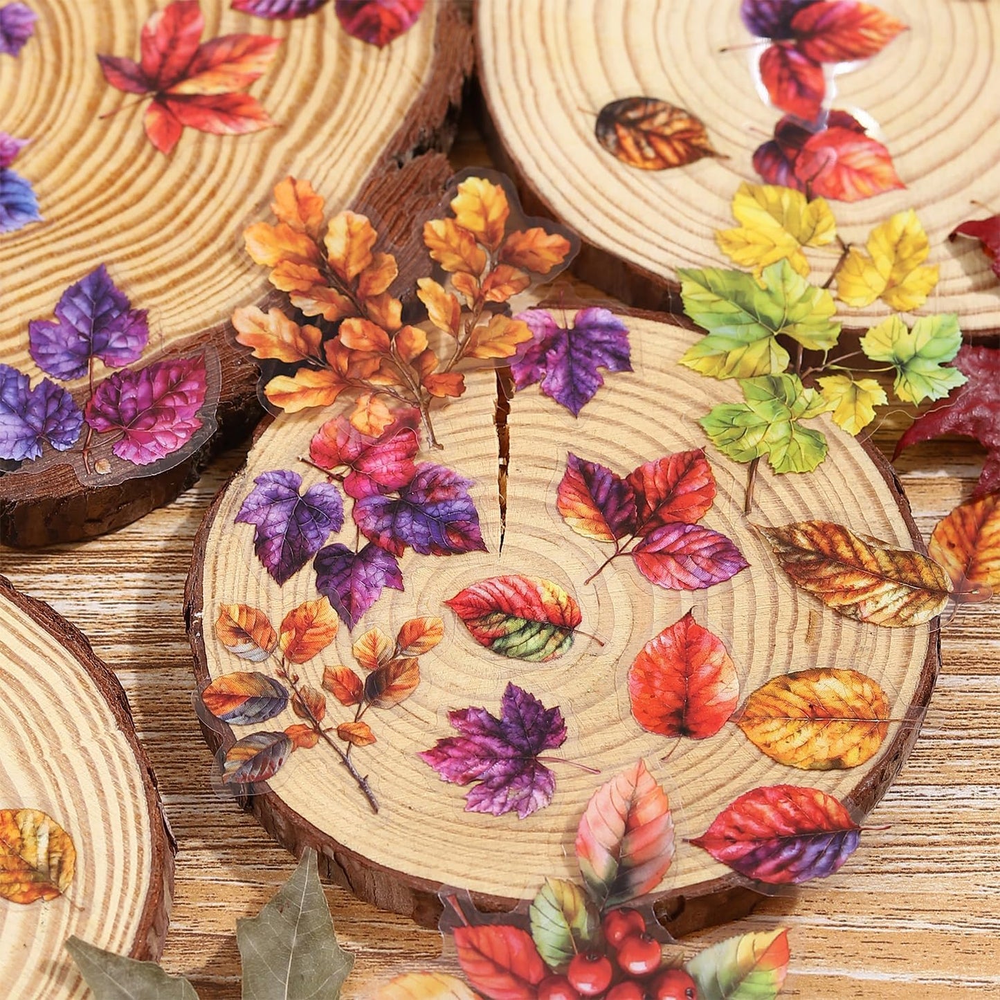 Foliage PET Sticker Set, 150PCS Leaf and Branch Stickers for Scrapbooking, Journaling, DIY Crafts, and Art Supplies