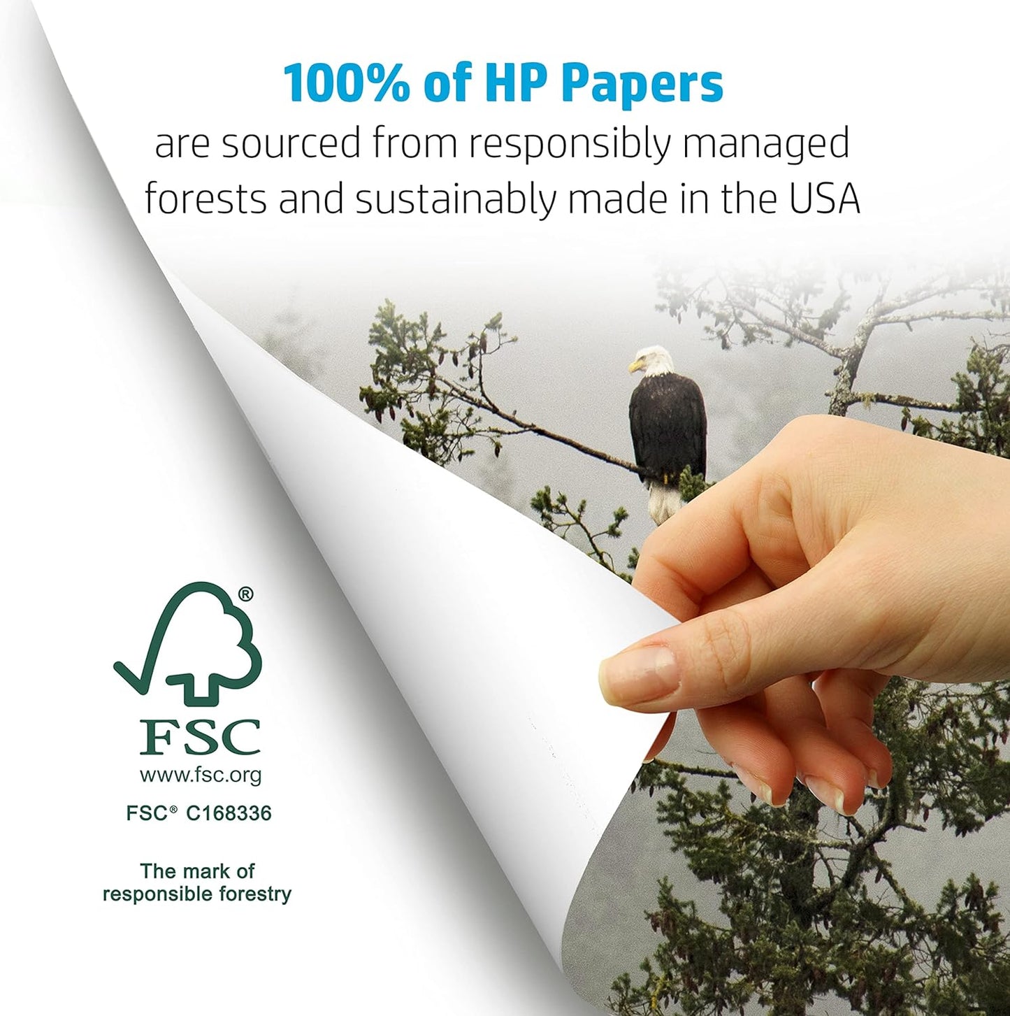 HP Printer Paper | 8.5 x 11 Paper | BrightWhite 24 lb | 5 Ream Case - 2500 Sheets |100 Bright | Made in USA - FSC Certified | 203000C