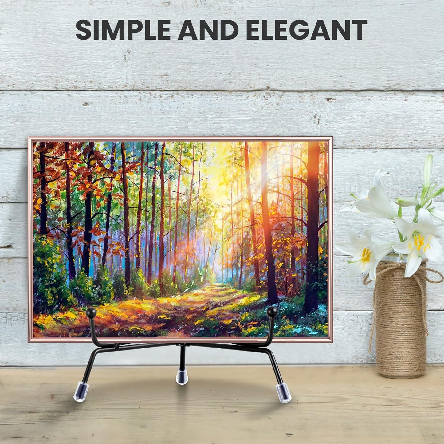 Chumia 18 Pcs Anti Slip Plate Stands for Display, Black Iron Easel Plate Holder Picture Frame Holder Stand for Display Decorative Photo Tabletop Artwork(8 Inch)