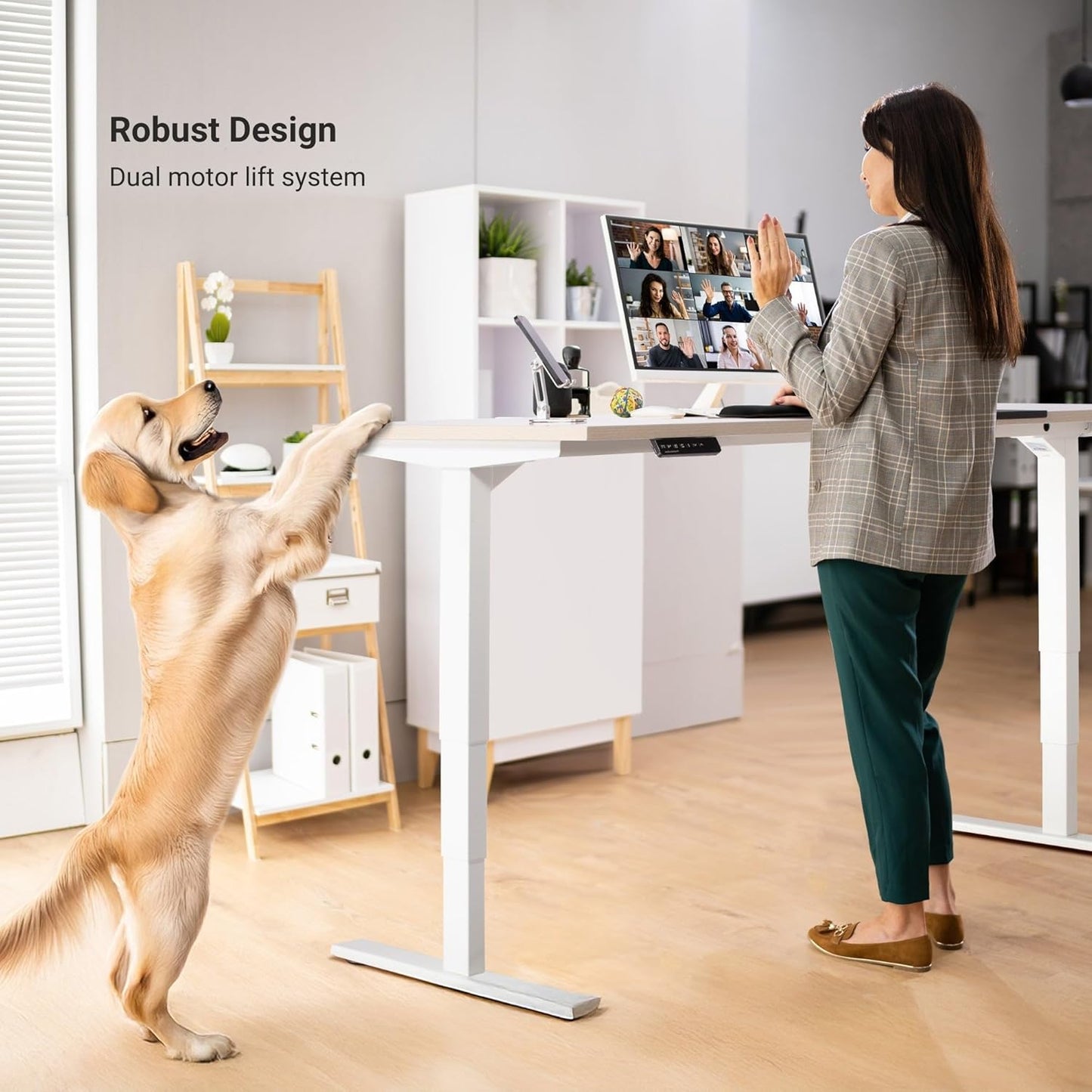 Progressive Desk Stand Up Height Adjustable Electric Standing Desk - 48" x 30" with Dual Motor, 3 Stages Sit Stand Table - Ebony Oak, Gray Frame