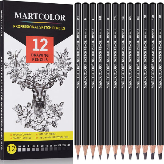 Drawing Sketching Pencils Set, 12 Pack Graphite Pencils(14B - 2H), Ideal for Drawing Art, Sketching, Shading, Artist Pencils for Beginners & Pro Artists
