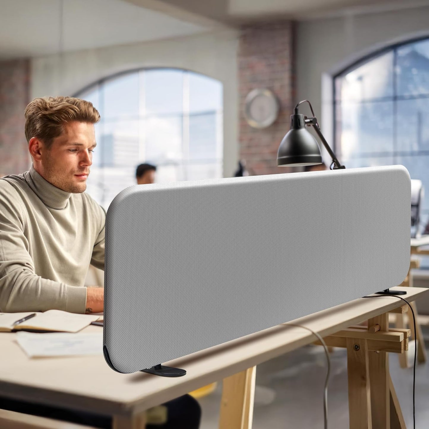 DECOLAB Desk Dividers, Portable Table Partition Screen Panel for Office, Workspace, Classroom, Student, Freestanding, Scratch Resiatance, 48"x18", Steel