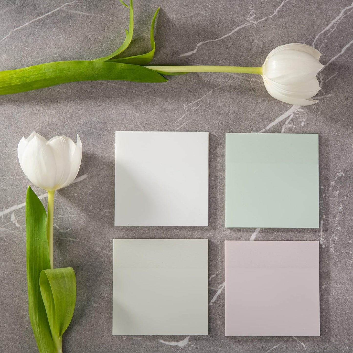 DiverseBee 50 Sheets Pastel Transparent Sticky Notes, 3x3” Clear Sticky Tabs, Translucent Page Flags Book Markers Stickers, Planner Accessories, Bible Journaling Study Office School Supplies (Feather)